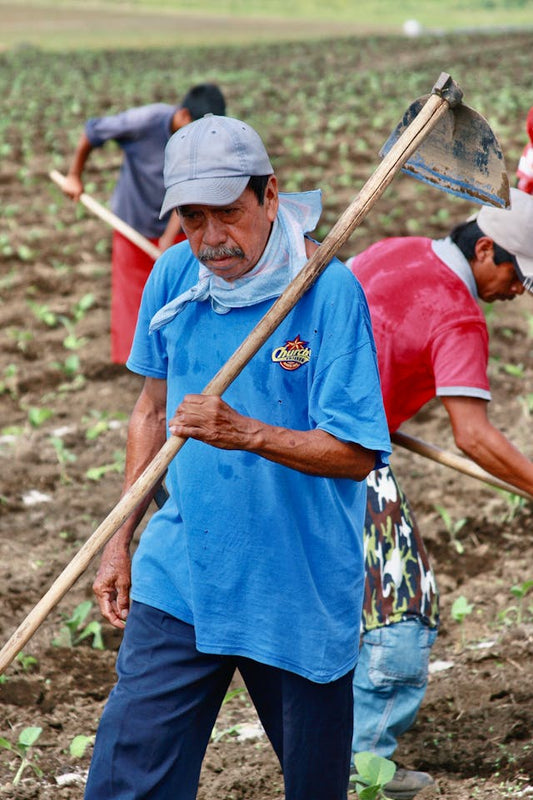 How Deportation Is Impacting Chili Pepper Farms — And What It Means for Your Hot Sauce